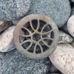 Beachcombing over Gneiss pebbles - a drain in the ocean