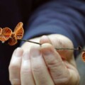 Katrina Syme holding Fungi